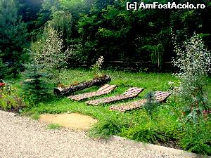 [P09]  -- <small>// FĂRĂ DESCRIERE</small> » foto by Rusalka
 - 
<span class="allrVoted glyphicon glyphicon-heart hidden" id="av542848"></span>
<a class="m-l-10 hidden" id="sv542848" onclick="voting_Foto_DelVot(,542848,5500)" role="button">șterge vot <span class="glyphicon glyphicon-remove"></span></a>
<a id="v9542848" class=" c-red"  onclick="voting_Foto_SetVot(542848)" role="button"><span class="glyphicon glyphicon-heart-empty"></span> <b>LIKE</b> = Votează poza</a> <img class="hidden"  id="f542848W9" src="/imagini/loader.gif" border="0" /><span class="AjErrMes hidden" id="e542848ErM"></span>