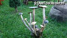 [P14] Sunt comestibile? » foto by kelyboy
 - 
<span class="allrVoted glyphicon glyphicon-heart hidden" id="av260025"></span>
<a class="m-l-10 hidden" id="sv260025" onclick="voting_Foto_DelVot(,260025,5500)" role="button">șterge vot <span class="glyphicon glyphicon-remove"></span></a>
<a id="v9260025" class=" c-red"  onclick="voting_Foto_SetVot(260025)" role="button"><span class="glyphicon glyphicon-heart-empty"></span> <b>LIKE</b> = Votează poza</a> <img class="hidden"  id="f260025W9" src="/imagini/loader.gif" border="0" /><span class="AjErrMes hidden" id="e260025ErM"></span>