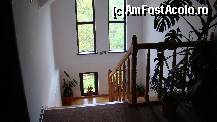 [P25] Casa scarii de la etajul doi- totul luceste de curatenie! » foto by kelyboy
 - 
<span class="allrVoted glyphicon glyphicon-heart hidden" id="av260044"></span>
<a class="m-l-10 hidden" id="sv260044" onclick="voting_Foto_DelVot(,260044,5500)" role="button">șterge vot <span class="glyphicon glyphicon-remove"></span></a>
<a id="v9260044" class=" c-red"  onclick="voting_Foto_SetVot(260044)" role="button"><span class="glyphicon glyphicon-heart-empty"></span> <b>LIKE</b> = Votează poza</a> <img class="hidden"  id="f260044W9" src="/imagini/loader.gif" border="0" /><span class="AjErrMes hidden" id="e260044ErM"></span>