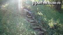 [P38] Mini cascada din curte -se parea ca se revarsa soarele din ea » foto by kelyboy
 - 
<span class="allrVoted glyphicon glyphicon-heart hidden" id="av260066"></span>
<a class="m-l-10 hidden" id="sv260066" onclick="voting_Foto_DelVot(,260066,5500)" role="button">șterge vot <span class="glyphicon glyphicon-remove"></span></a>
<a id="v9260066" class=" c-red"  onclick="voting_Foto_SetVot(260066)" role="button"><span class="glyphicon glyphicon-heart-empty"></span> <b>LIKE</b> = Votează poza</a> <img class="hidden"  id="f260066W9" src="/imagini/loader.gif" border="0" /><span class="AjErrMes hidden" id="e260066ErM"></span>