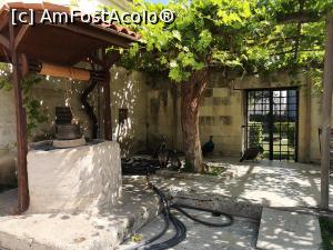 [P19] O fântână și câțiva fazani » foto by crismis
 - 
<span class="allrVoted glyphicon glyphicon-heart hidden" id="av1111466"></span>
<a class="m-l-10 hidden" id="sv1111466" onclick="voting_Foto_DelVot(,1111466,5501)" role="button">șterge vot <span class="glyphicon glyphicon-remove"></span></a>
<a id="v91111466" class=" c-red"  onclick="voting_Foto_SetVot(1111466)" role="button"><span class="glyphicon glyphicon-heart-empty"></span> <b>LIKE</b> = Votează poza</a> <img class="hidden"  id="f1111466W9" src="/imagini/loader.gif" border="0" /><span class="AjErrMes hidden" id="e1111466ErM"></span>