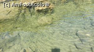 [P07] Lacul de Smarald » foto by Sclemby
 - 
<span class="allrVoted glyphicon glyphicon-heart hidden" id="av1242293"></span>
<a class="m-l-10 hidden" id="sv1242293" onclick="voting_Foto_DelVot(,1242293,5504)" role="button">șterge vot <span class="glyphicon glyphicon-remove"></span></a>
<a id="v91242293" class=" c-red"  onclick="voting_Foto_SetVot(1242293)" role="button"><span class="glyphicon glyphicon-heart-empty"></span> <b>LIKE</b> = Votează poza</a> <img class="hidden"  id="f1242293W9" src="/imagini/loader.gif" border="0" /><span class="AjErrMes hidden" id="e1242293ErM"></span>