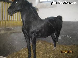 [P20] un exemplar reusit de la Sambata de sus » foto by gabynegru
 - 
<span class="allrVoted glyphicon glyphicon-heart hidden" id="av539027"></span>
<a class="m-l-10 hidden" id="sv539027" onclick="voting_Foto_DelVot(,539027,5504)" role="button">șterge vot <span class="glyphicon glyphicon-remove"></span></a>
<a id="v9539027" class=" c-red"  onclick="voting_Foto_SetVot(539027)" role="button"><span class="glyphicon glyphicon-heart-empty"></span> <b>LIKE</b> = Votează poza</a> <img class="hidden"  id="f539027W9" src="/imagini/loader.gif" border="0" /><span class="AjErrMes hidden" id="e539027ErM"></span>