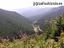 [P08] Muntii Rodnei » foto by raoulp55
 - 
<span class="allrVoted glyphicon glyphicon-heart hidden" id="av131069"></span>
<a class="m-l-10 hidden" id="sv131069" onclick="voting_Foto_DelVot(,131069,5504)" role="button">șterge vot <span class="glyphicon glyphicon-remove"></span></a>
<a id="v9131069" class=" c-red"  onclick="voting_Foto_SetVot(131069)" role="button"><span class="glyphicon glyphicon-heart-empty"></span> <b>LIKE</b> = Votează poza</a> <img class="hidden"  id="f131069W9" src="/imagini/loader.gif" border="0" /><span class="AjErrMes hidden" id="e131069ErM"></span>