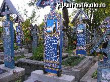 [P09]  -- <small>// FĂRĂ DESCRIERE</small> » foto by raoulp55
 - 
<span class="allrVoted glyphicon glyphicon-heart hidden" id="av148980"></span>
<a class="m-l-10 hidden" id="sv148980" onclick="voting_Foto_DelVot(,148980,5504)" role="button">șterge vot <span class="glyphicon glyphicon-remove"></span></a>
<a id="v9148980" class=" c-red"  onclick="voting_Foto_SetVot(148980)" role="button"><span class="glyphicon glyphicon-heart-empty"></span> <b>LIKE</b> = Votează poza</a> <img class="hidden"  id="f148980W9" src="/imagini/loader.gif" border="0" /><span class="AjErrMes hidden" id="e148980ErM"></span>