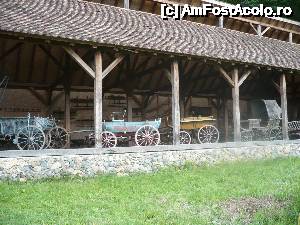 [P11]  -- <small>// FĂRĂ DESCRIERE</small> » foto by danutapop
 - 
<span class="allrVoted glyphicon glyphicon-heart hidden" id="av636456"></span>
<a class="m-l-10 hidden" id="sv636456" onclick="voting_Foto_DelVot(,636456,5504)" role="button">șterge vot <span class="glyphicon glyphicon-remove"></span></a>
<a id="v9636456" class=" c-red"  onclick="voting_Foto_SetVot(636456)" role="button"><span class="glyphicon glyphicon-heart-empty"></span> <b>LIKE</b> = Votează poza</a> <img class="hidden"  id="f636456W9" src="/imagini/loader.gif" border="0" /><span class="AjErrMes hidden" id="e636456ErM"></span>