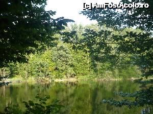 [P17] lacul Ursu » foto by danutapop
 - 
<span class="allrVoted glyphicon glyphicon-heart hidden" id="av636464"></span>
<a class="m-l-10 hidden" id="sv636464" onclick="voting_Foto_DelVot(,636464,5504)" role="button">șterge vot <span class="glyphicon glyphicon-remove"></span></a>
<a id="v9636464" class=" c-red"  onclick="voting_Foto_SetVot(636464)" role="button"><span class="glyphicon glyphicon-heart-empty"></span> <b>LIKE</b> = Votează poza</a> <img class="hidden"  id="f636464W9" src="/imagini/loader.gif" border="0" /><span class="AjErrMes hidden" id="e636464ErM"></span>