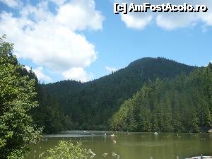 [P21] lacul Rosu » foto by danutapop
 - 
<span class="allrVoted glyphicon glyphicon-heart hidden" id="av636468"></span>
<a class="m-l-10 hidden" id="sv636468" onclick="voting_Foto_DelVot(,636468,5504)" role="button">șterge vot <span class="glyphicon glyphicon-remove"></span></a>
<a id="v9636468" class=" c-red"  onclick="voting_Foto_SetVot(636468)" role="button"><span class="glyphicon glyphicon-heart-empty"></span> <b>LIKE</b> = Votează poza</a> <img class="hidden"  id="f636468W9" src="/imagini/loader.gif" border="0" /><span class="AjErrMes hidden" id="e636468ErM"></span>