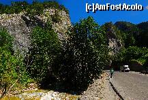 [P11] In aval de Lacu Rosu incep Cheile Bicazului, chei in Carpatii Orientali, pe valea raului Bicaz, care fac legatura intre Transilvania si Moldova. Are o lungime de 8 km de la Lacu Rosu pana la satul Bicazul Ardelean. » foto by adybyt
 - 
<span class="allrVoted glyphicon glyphicon-heart hidden" id="av193197"></span>
<a class="m-l-10 hidden" id="sv193197" onclick="voting_Foto_DelVot(,193197,5504)" role="button">șterge vot <span class="glyphicon glyphicon-remove"></span></a>
<a id="v9193197" class=" c-red"  onclick="voting_Foto_SetVot(193197)" role="button"><span class="glyphicon glyphicon-heart-empty"></span> <b>LIKE</b> = Votează poza</a> <img class="hidden"  id="f193197W9" src="/imagini/loader.gif" border="0" /><span class="AjErrMes hidden" id="e193197ErM"></span>