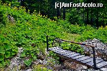 [P30]  -- <small>// FĂRĂ DESCRIERE</small> » foto by adybyt
 - 
<span class="allrVoted glyphicon glyphicon-heart hidden" id="av298666"></span>
<a class="m-l-10 hidden" id="sv298666" onclick="voting_Foto_DelVot(,298666,5504)" role="button">șterge vot <span class="glyphicon glyphicon-remove"></span></a>
<a id="v9298666" class=" c-red"  onclick="voting_Foto_SetVot(298666)" role="button"><span class="glyphicon glyphicon-heart-empty"></span> <b>LIKE</b> = Votează poza</a> <img class="hidden"  id="f298666W9" src="/imagini/loader.gif" border="0" /><span class="AjErrMes hidden" id="e298666ErM"></span>