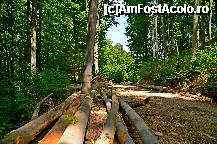 [P57] Traseul din Baile Olanesti spre satul Tisa » foto by adybyt
 - 
<span class="allrVoted glyphicon glyphicon-heart hidden" id="av299816"></span>
<a class="m-l-10 hidden" id="sv299816" onclick="voting_Foto_DelVot(,299816,5504)" role="button">șterge vot <span class="glyphicon glyphicon-remove"></span></a>
<a id="v9299816" class=" c-red"  onclick="voting_Foto_SetVot(299816)" role="button"><span class="glyphicon glyphicon-heart-empty"></span> <b>LIKE</b> = Votează poza</a> <img class="hidden"  id="f299816W9" src="/imagini/loader.gif" border="0" /><span class="AjErrMes hidden" id="e299816ErM"></span>