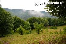 [P63] Peisaj de la pestera  Sfantul Antonie » foto by adybyt
 - 
<span class="allrVoted glyphicon glyphicon-heart hidden" id="av299853"></span>
<a class="m-l-10 hidden" id="sv299853" onclick="voting_Foto_DelVot(,299853,5504)" role="button">șterge vot <span class="glyphicon glyphicon-remove"></span></a>
<a id="v9299853" class=" c-red"  onclick="voting_Foto_SetVot(299853)" role="button"><span class="glyphicon glyphicon-heart-empty"></span> <b>LIKE</b> = Votează poza</a> <img class="hidden"  id="f299853W9" src="/imagini/loader.gif" border="0" /><span class="AjErrMes hidden" id="e299853ErM"></span>