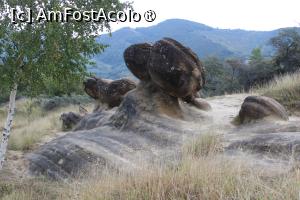 [P50] Trovanții, Babele de la Ulmet » foto by mprofeanu
 - 
<span class="allrVoted glyphicon glyphicon-heart hidden" id="av1391369"></span>
<a class="m-l-10 hidden" id="sv1391369" onclick="voting_Foto_DelVot(,1391369,5504)" role="button">șterge vot <span class="glyphicon glyphicon-remove"></span></a>
<a id="v91391369" class=" c-red"  onclick="voting_Foto_SetVot(1391369)" role="button"><span class="glyphicon glyphicon-heart-empty"></span> <b>LIKE</b> = Votează poza</a> <img class="hidden"  id="f1391369W9" src="/imagini/loader.gif" border="0" /><span class="AjErrMes hidden" id="e1391369ErM"></span>