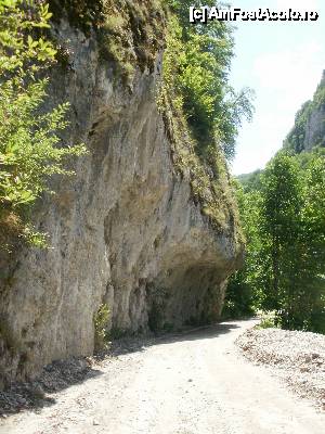 [P37] Cheile Oltetului » foto by Nicu V
 - 
<span class="allrVoted glyphicon glyphicon-heart hidden" id="av396396"></span>
<a class="m-l-10 hidden" id="sv396396" onclick="voting_Foto_DelVot(,396396,5504)" role="button">șterge vot <span class="glyphicon glyphicon-remove"></span></a>
<a id="v9396396" class=" c-red"  onclick="voting_Foto_SetVot(396396)" role="button"><span class="glyphicon glyphicon-heart-empty"></span> <b>LIKE</b> = Votează poza</a> <img class="hidden"  id="f396396W9" src="/imagini/loader.gif" border="0" /><span class="AjErrMes hidden" id="e396396ErM"></span>