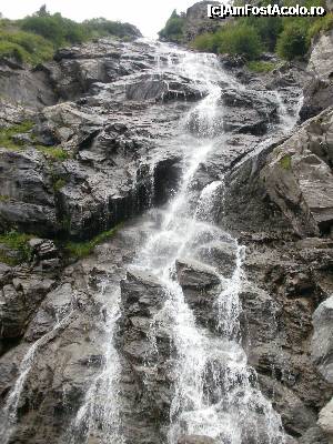 [P49] Transfagarasan: cascada Capra » foto by Nicu V
 - 
<span class="allrVoted glyphicon glyphicon-heart hidden" id="av396920"></span>
<a class="m-l-10 hidden" id="sv396920" onclick="voting_Foto_DelVot(,396920,5504)" role="button">șterge vot <span class="glyphicon glyphicon-remove"></span></a>
<a id="v9396920" class=" c-red"  onclick="voting_Foto_SetVot(396920)" role="button"><span class="glyphicon glyphicon-heart-empty"></span> <b>LIKE</b> = Votează poza</a> <img class="hidden"  id="f396920W9" src="/imagini/loader.gif" border="0" /><span class="AjErrMes hidden" id="e396920ErM"></span>