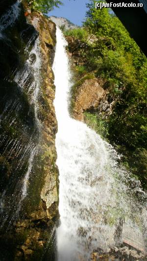 [P05] Cascada Urlatoarea- nu puteai sa stai prea aproape » foto by Nicu V
 - 
<span class="allrVoted glyphicon glyphicon-heart hidden" id="av408782"></span>
<a class="m-l-10 hidden" id="sv408782" onclick="voting_Foto_DelVot(,408782,5504)" role="button">șterge vot <span class="glyphicon glyphicon-remove"></span></a>
<a id="v9408782" class=" c-red"  onclick="voting_Foto_SetVot(408782)" role="button"><span class="glyphicon glyphicon-heart-empty"></span> <b>LIKE</b> = Votează poza</a> <img class="hidden"  id="f408782W9" src="/imagini/loader.gif" border="0" /><span class="AjErrMes hidden" id="e408782ErM"></span>