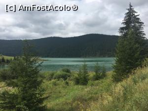 [P01] Lacul Frumoasa, așa cum se vede el de pe marginea șoselei » foto by Yersinia Pestis
 - 
<span class="allrVoted glyphicon glyphicon-heart hidden" id="av900389"></span>
<a class="m-l-10 hidden" id="sv900389" onclick="voting_Foto_DelVot(,900389,5504)" role="button">șterge vot <span class="glyphicon glyphicon-remove"></span></a>
<a id="v9900389" class=" c-red"  onclick="voting_Foto_SetVot(900389)" role="button"><span class="glyphicon glyphicon-heart-empty"></span> <b>LIKE</b> = Votează poza</a> <img class="hidden"  id="f900389W9" src="/imagini/loader.gif" border="0" /><span class="AjErrMes hidden" id="e900389ErM"></span>