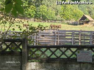 [P15] Țarcul zimbrilor de la rezervația Slivuț-Hațeg » foto by Mitica49
 - 
<span class="allrVoted glyphicon glyphicon-heart hidden" id="av684043"></span>
<a class="m-l-10 hidden" id="sv684043" onclick="voting_Foto_DelVot(,684043,5504)" role="button">șterge vot <span class="glyphicon glyphicon-remove"></span></a>
<a id="v9684043" class=" c-red"  onclick="voting_Foto_SetVot(684043)" role="button"><span class="glyphicon glyphicon-heart-empty"></span> <b>LIKE</b> = Votează poza</a> <img class="hidden"  id="f684043W9" src="/imagini/loader.gif" border="0" /><span class="AjErrMes hidden" id="e684043ErM"></span>