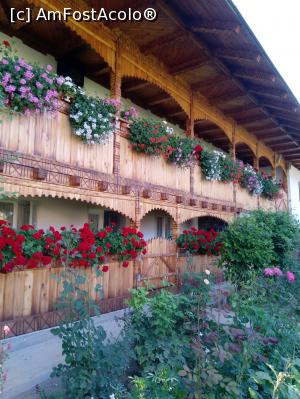 [P14] Bogăție florală, specifică - de obicei - mânăstirilor de maici » foto by puiutea
 - 
<span class="allrVoted glyphicon glyphicon-heart hidden" id="av1247725"></span>
<a class="m-l-10 hidden" id="sv1247725" onclick="voting_Foto_DelVot(,1247725,5504)" role="button">șterge vot <span class="glyphicon glyphicon-remove"></span></a>
<a id="v91247725" class=" c-red"  onclick="voting_Foto_SetVot(1247725)" role="button"><span class="glyphicon glyphicon-heart-empty"></span> <b>LIKE</b> = Votează poza</a> <img class="hidden"  id="f1247725W9" src="/imagini/loader.gif" border="0" /><span class="AjErrMes hidden" id="e1247725ErM"></span>