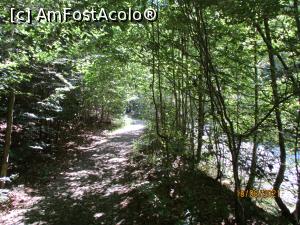 [P37] Și din nou o porțiune plăcută prin pădure ... » foto by puiutea
 - 
<span class="allrVoted glyphicon glyphicon-heart hidden" id="av1247748"></span>
<a class="m-l-10 hidden" id="sv1247748" onclick="voting_Foto_DelVot(,1247748,5504)" role="button">șterge vot <span class="glyphicon glyphicon-remove"></span></a>
<a id="v91247748" class=" c-red"  onclick="voting_Foto_SetVot(1247748)" role="button"><span class="glyphicon glyphicon-heart-empty"></span> <b>LIKE</b> = Votează poza</a> <img class="hidden"  id="f1247748W9" src="/imagini/loader.gif" border="0" /><span class="AjErrMes hidden" id="e1247748ErM"></span>