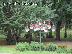 [P47] Ornamente în parcul orașului » foto by puiutea
 - 
<span class="allrVoted glyphicon glyphicon-heart hidden" id="av1303605"></span>
<a class="m-l-10 hidden" id="sv1303605" onclick="voting_Foto_DelVot(,1303605,5504)" role="button">șterge vot <span class="glyphicon glyphicon-remove"></span></a>
<a id="v91303605" class=" c-red"  onclick="voting_Foto_SetVot(1303605)" role="button"><span class="glyphicon glyphicon-heart-empty"></span> <b>LIKE</b> = Votează poza</a> <img class="hidden"  id="f1303605W9" src="/imagini/loader.gif" border="0" /><span class="AjErrMes hidden" id="e1303605ErM"></span>