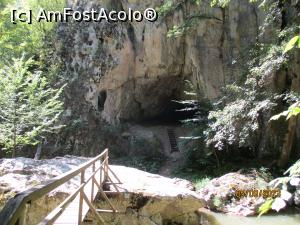 [P15] Podul către una dintre peșteri » foto by puiutea
 - 
<span class="allrVoted glyphicon glyphicon-heart hidden" id="av1388657"></span>
<a class="m-l-10 hidden" id="sv1388657" onclick="voting_Foto_DelVot(,1388657,5504)" role="button">șterge vot <span class="glyphicon glyphicon-remove"></span></a>
<a id="v91388657" class=" c-red"  onclick="voting_Foto_SetVot(1388657)" role="button"><span class="glyphicon glyphicon-heart-empty"></span> <b>LIKE</b> = Votează poza</a> <img class="hidden"  id="f1388657W9" src="/imagini/loader.gif" border="0" /><span class="AjErrMes hidden" id="e1388657ErM"></span>