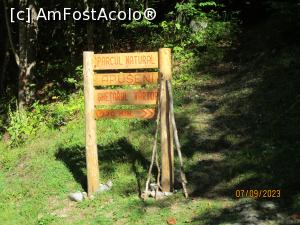 [P19] Și un alt obiectiv ... » foto by puiutea
 - 
<span class="allrVoted glyphicon glyphicon-heart hidden" id="av1388661"></span>
<a class="m-l-10 hidden" id="sv1388661" onclick="voting_Foto_DelVot(,1388661,5504)" role="button">șterge vot <span class="glyphicon glyphicon-remove"></span></a>
<a id="v91388661" class=" c-red"  onclick="voting_Foto_SetVot(1388661)" role="button"><span class="glyphicon glyphicon-heart-empty"></span> <b>LIKE</b> = Votează poza</a> <img class="hidden"  id="f1388661W9" src="/imagini/loader.gif" border="0" /><span class="AjErrMes hidden" id="e1388661ErM"></span>
