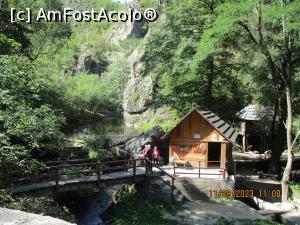 [P06] ... și încă una » foto by puiutea
 - 
<span class="allrVoted glyphicon glyphicon-heart hidden" id="av1388725"></span>
<a class="m-l-10 hidden" id="sv1388725" onclick="voting_Foto_DelVot(,1388725,5504)" role="button">șterge vot <span class="glyphicon glyphicon-remove"></span></a>
<a id="v91388725" class=" c-red"  onclick="voting_Foto_SetVot(1388725)" role="button"><span class="glyphicon glyphicon-heart-empty"></span> <b>LIKE</b> = Votează poza</a> <img class="hidden"  id="f1388725W9" src="/imagini/loader.gif" border="0" /><span class="AjErrMes hidden" id="e1388725ErM"></span>