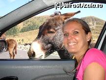 [P32]  -- <small>// FĂRĂ DESCRIERE</small> » foto by susu
 - 
<span class="allrVoted glyphicon glyphicon-heart hidden" id="av412894"></span>
<a class="m-l-10 hidden" id="sv412894" onclick="voting_Foto_DelVot(,412894,5504)" role="button">șterge vot <span class="glyphicon glyphicon-remove"></span></a>
<a id="v9412894" class=" c-red"  onclick="voting_Foto_SetVot(412894)" role="button"><span class="glyphicon glyphicon-heart-empty"></span> <b>LIKE</b> = Votează poza</a> <img class="hidden"  id="f412894W9" src="/imagini/loader.gif" border="0" /><span class="AjErrMes hidden" id="e412894ErM"></span>
