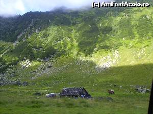 [P14] Peisaj salbatic, pe Transfagarasan.  » foto by Tudor-Cristian
 - 
<span class="allrVoted glyphicon glyphicon-heart hidden" id="av562940"></span>
<a class="m-l-10 hidden" id="sv562940" onclick="voting_Foto_DelVot(,562940,5504)" role="button">șterge vot <span class="glyphicon glyphicon-remove"></span></a>
<a id="v9562940" class=" c-red"  onclick="voting_Foto_SetVot(562940)" role="button"><span class="glyphicon glyphicon-heart-empty"></span> <b>LIKE</b> = Votează poza</a> <img class="hidden"  id="f562940W9" src="/imagini/loader.gif" border="0" /><span class="AjErrMes hidden" id="e562940ErM"></span>