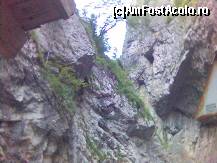 [P14] la Cheile Bicazului » foto by valimi
 - 
<span class="allrVoted glyphicon glyphicon-heart hidden" id="av70706"></span>
<a class="m-l-10 hidden" id="sv70706" onclick="voting_Foto_DelVot(,70706,5504)" role="button">șterge vot <span class="glyphicon glyphicon-remove"></span></a>
<a id="v970706" class=" c-red"  onclick="voting_Foto_SetVot(70706)" role="button"><span class="glyphicon glyphicon-heart-empty"></span> <b>LIKE</b> = Votează poza</a> <img class="hidden"  id="f70706W9" src="/imagini/loader.gif" border="0" /><span class="AjErrMes hidden" id="e70706ErM"></span>