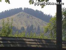 [P09] am ajuns si la Putna, unde numele lui Stefan acopera un munte intreg, » foto by valimi
 - 
<span class="allrVoted glyphicon glyphicon-heart hidden" id="av70444"></span>
<a class="m-l-10 hidden" id="sv70444" onclick="voting_Foto_DelVot(,70444,5504)" role="button">șterge vot <span class="glyphicon glyphicon-remove"></span></a>
<a id="v970444" class=" c-red"  onclick="voting_Foto_SetVot(70444)" role="button"><span class="glyphicon glyphicon-heart-empty"></span> <b>LIKE</b> = Votează poza</a> <img class="hidden"  id="f70444W9" src="/imagini/loader.gif" border="0" /><span class="AjErrMes hidden" id="e70444ErM"></span>