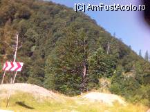 [P01] de la Maneciu catre Cheia sunt catava curbe periculoase » foto by valimi
 - 
<span class="allrVoted glyphicon glyphicon-heart hidden" id="av85254"></span>
<a class="m-l-10 hidden" id="sv85254" onclick="voting_Foto_DelVot(,85254,5504)" role="button">șterge vot <span class="glyphicon glyphicon-remove"></span></a>
<a id="v985254" class=" c-red"  onclick="voting_Foto_SetVot(85254)" role="button"><span class="glyphicon glyphicon-heart-empty"></span> <b>LIKE</b> = Votează poza</a> <img class="hidden"  id="f85254W9" src="/imagini/loader.gif" border="0" /><span class="AjErrMes hidden" id="e85254ErM"></span>