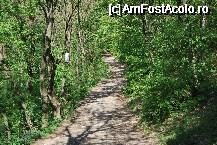 [P26] Cheile Turzii - cararea de intrare » foto by gregorio
 - 
<span class="allrVoted glyphicon glyphicon-heart hidden" id="av67707"></span>
<a class="m-l-10 hidden" id="sv67707" onclick="voting_Foto_DelVot(,67707,5504)" role="button">șterge vot <span class="glyphicon glyphicon-remove"></span></a>
<a id="v967707" class=" c-red"  onclick="voting_Foto_SetVot(67707)" role="button"><span class="glyphicon glyphicon-heart-empty"></span> <b>LIKE</b> = Votează poza</a> <img class="hidden"  id="f67707W9" src="/imagini/loader.gif" border="0" /><span class="AjErrMes hidden" id="e67707ErM"></span>