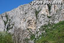 [P27] Cheile Turzii - perete de stanca » foto by gregorio
 - 
<span class="allrVoted glyphicon glyphicon-heart hidden" id="av67708"></span>
<a class="m-l-10 hidden" id="sv67708" onclick="voting_Foto_DelVot(,67708,5504)" role="button">șterge vot <span class="glyphicon glyphicon-remove"></span></a>
<a id="v967708" class=" c-red"  onclick="voting_Foto_SetVot(67708)" role="button"><span class="glyphicon glyphicon-heart-empty"></span> <b>LIKE</b> = Votează poza</a> <img class="hidden"  id="f67708W9" src="/imagini/loader.gif" border="0" /><span class="AjErrMes hidden" id="e67708ErM"></span>