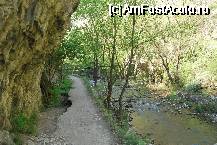[P35] Cheile Turzii - ne apropiem de al doilea pod » foto by gregorio
 - 
<span class="allrVoted glyphicon glyphicon-heart hidden" id="av67716"></span>
<a class="m-l-10 hidden" id="sv67716" onclick="voting_Foto_DelVot(,67716,5504)" role="button">șterge vot <span class="glyphicon glyphicon-remove"></span></a>
<a id="v967716" class=" c-red"  onclick="voting_Foto_SetVot(67716)" role="button"><span class="glyphicon glyphicon-heart-empty"></span> <b>LIKE</b> = Votează poza</a> <img class="hidden"  id="f67716W9" src="/imagini/loader.gif" border="0" /><span class="AjErrMes hidden" id="e67716ErM"></span>