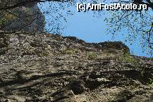 [P40] Cheile Turzii - perete de stanca » foto by gregorio
 - 
<span class="allrVoted glyphicon glyphicon-heart hidden" id="av67721"></span>
<a class="m-l-10 hidden" id="sv67721" onclick="voting_Foto_DelVot(,67721,5504)" role="button">șterge vot <span class="glyphicon glyphicon-remove"></span></a>
<a id="v967721" class=" c-red"  onclick="voting_Foto_SetVot(67721)" role="button"><span class="glyphicon glyphicon-heart-empty"></span> <b>LIKE</b> = Votează poza</a> <img class="hidden"  id="f67721W9" src="/imagini/loader.gif" border="0" /><span class="AjErrMes hidden" id="e67721ErM"></span>