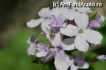 [P45] Cheile Turzii - crampeie de viata » foto by gregorio
 - 
<span class="allrVoted glyphicon glyphicon-heart hidden" id="av67726"></span>
<a class="m-l-10 hidden" id="sv67726" onclick="voting_Foto_DelVot(,67726,5504)" role="button">șterge vot <span class="glyphicon glyphicon-remove"></span></a>
<a id="v967726" class=" c-red"  onclick="voting_Foto_SetVot(67726)" role="button"><span class="glyphicon glyphicon-heart-empty"></span> <b>LIKE</b> = Votează poza</a> <img class="hidden"  id="f67726W9" src="/imagini/loader.gif" border="0" /><span class="AjErrMes hidden" id="e67726ErM"></span>