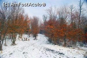 [P12] Covasna - peisaje de iarnă, în jurul hotelului Clermont; tot acolo, pe vârf, e și un loc de popas » foto by Dragoș_MD
 - 
<span class="allrVoted glyphicon glyphicon-heart hidden" id="av814470"></span>
<a class="m-l-10 hidden" id="sv814470" onclick="voting_Foto_DelVot(,814470,5515)" role="button">șterge vot <span class="glyphicon glyphicon-remove"></span></a>
<a id="v9814470" class=" c-red"  onclick="voting_Foto_SetVot(814470)" role="button"><span class="glyphicon glyphicon-heart-empty"></span> <b>LIKE</b> = Votează poza</a> <img class="hidden"  id="f814470W9" src="/imagini/loader.gif" border="0" /><span class="AjErrMes hidden" id="e814470ErM"></span>