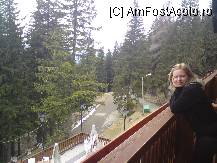 [P20] pe balcon » foto by Alina Morar
 - 
<span class="allrVoted glyphicon glyphicon-heart hidden" id="av79060"></span>
<a class="m-l-10 hidden" id="sv79060" onclick="voting_Foto_DelVot(,79060,5517)" role="button">șterge vot <span class="glyphicon glyphicon-remove"></span></a>
<a id="v979060" class=" c-red"  onclick="voting_Foto_SetVot(79060)" role="button"><span class="glyphicon glyphicon-heart-empty"></span> <b>LIKE</b> = Votează poza</a> <img class="hidden"  id="f79060W9" src="/imagini/loader.gif" border="0" /><span class="AjErrMes hidden" id="e79060ErM"></span>