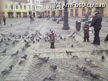 [P24] porumbeii di Sibiu » foto by Alina Morar
 - 
<span class="allrVoted glyphicon glyphicon-heart hidden" id="av79064"></span>
<a class="m-l-10 hidden" id="sv79064" onclick="voting_Foto_DelVot(,79064,5517)" role="button">șterge vot <span class="glyphicon glyphicon-remove"></span></a>
<a id="v979064" class=" c-red"  onclick="voting_Foto_SetVot(79064)" role="button"><span class="glyphicon glyphicon-heart-empty"></span> <b>LIKE</b> = Votează poza</a> <img class="hidden"  id="f79064W9" src="/imagini/loader.gif" border="0" /><span class="AjErrMes hidden" id="e79064ErM"></span>