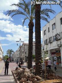 [P10] in plimbare spre malul marii.... » foto by anytha29
 - 
<span class="allrVoted glyphicon glyphicon-heart hidden" id="av66391"></span>
<a class="m-l-10 hidden" id="sv66391" onclick="voting_Foto_DelVot(,66391,5521)" role="button">șterge vot <span class="glyphicon glyphicon-remove"></span></a>
<a id="v966391" class=" c-red"  onclick="voting_Foto_SetVot(66391)" role="button"><span class="glyphicon glyphicon-heart-empty"></span> <b>LIKE</b> = Votează poza</a> <img class="hidden"  id="f66391W9" src="/imagini/loader.gif" border="0" /><span class="AjErrMes hidden" id="e66391ErM"></span>