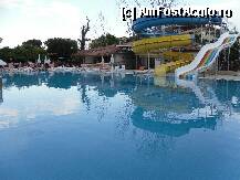 [P04] avea si totpogan...eeee.... » foto by anytha29
 - 
<span class="allrVoted glyphicon glyphicon-heart hidden" id="av66379"></span>
<a class="m-l-10 hidden" id="sv66379" onclick="voting_Foto_DelVot(,66379,5521)" role="button">șterge vot <span class="glyphicon glyphicon-remove"></span></a>
<a id="v966379" class=" c-red"  onclick="voting_Foto_SetVot(66379)" role="button"><span class="glyphicon glyphicon-heart-empty"></span> <b>LIKE</b> = Votează poza</a> <img class="hidden"  id="f66379W9" src="/imagini/loader.gif" border="0" /><span class="AjErrMes hidden" id="e66379ErM"></span>