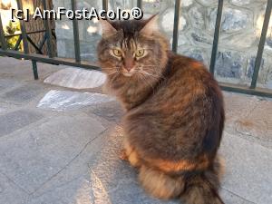 [P10] Un locuitor al refugiului » foto by Mika
 - 
<span class="allrVoted glyphicon glyphicon-heart hidden" id="av1334724"></span>
<a class="m-l-10 hidden" id="sv1334724" onclick="voting_Foto_DelVot(,1334724,5524)" role="button">șterge vot <span class="glyphicon glyphicon-remove"></span></a>
<a id="v91334724" class=" c-red"  onclick="voting_Foto_SetVot(1334724)" role="button"><span class="glyphicon glyphicon-heart-empty"></span> <b>LIKE</b> = Votează poza</a> <img class="hidden"  id="f1334724W9" src="/imagini/loader.gif" border="0" /><span class="AjErrMes hidden" id="e1334724ErM"></span>