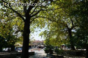 [P05] Intrarea în parc.  » foto by monik-50
 - 
<span class="allrVoted glyphicon glyphicon-heart hidden" id="av1037608"></span>
<a class="m-l-10 hidden" id="sv1037608" onclick="voting_Foto_DelVot(,1037608,5524)" role="button">șterge vot <span class="glyphicon glyphicon-remove"></span></a>
<a id="v91037608" class=" c-red"  onclick="voting_Foto_SetVot(1037608)" role="button"><span class="glyphicon glyphicon-heart-empty"></span> <b>LIKE</b> = Votează poza</a> <img class="hidden"  id="f1037608W9" src="/imagini/loader.gif" border="0" /><span class="AjErrMes hidden" id="e1037608ErM"></span>