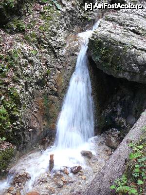 [P44] ... şi o ultimă cascadă, înainte de ieşirea din canion » foto by Claudiu U.
 - 
<span class="allrVoted glyphicon glyphicon-heart hidden" id="av482152"></span>
<a class="m-l-10 hidden" id="sv482152" onclick="voting_Foto_DelVot(,482152,5531)" role="button">șterge vot <span class="glyphicon glyphicon-remove"></span></a>
<a id="v9482152" class=" c-red"  onclick="voting_Foto_SetVot(482152)" role="button"><span class="glyphicon glyphicon-heart-empty"></span> <b>LIKE</b> = Votează poza</a> <img class="hidden"  id="f482152W9" src="/imagini/loader.gif" border="0" /><span class="AjErrMes hidden" id="e482152ErM"></span>