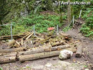 [P49] Aşa arată intrarea din amonte » foto by Claudiu U.
 - 
<span class="allrVoted glyphicon glyphicon-heart hidden" id="av544488"></span>
<a class="m-l-10 hidden" id="sv544488" onclick="voting_Foto_DelVot(,544488,5531)" role="button">șterge vot <span class="glyphicon glyphicon-remove"></span></a>
<a id="v9544488" class=" c-red"  onclick="voting_Foto_SetVot(544488)" role="button"><span class="glyphicon glyphicon-heart-empty"></span> <b>LIKE</b> = Votează poza</a> <img class="hidden"  id="f544488W9" src="/imagini/loader.gif" border="0" /><span class="AjErrMes hidden" id="e544488ErM"></span>