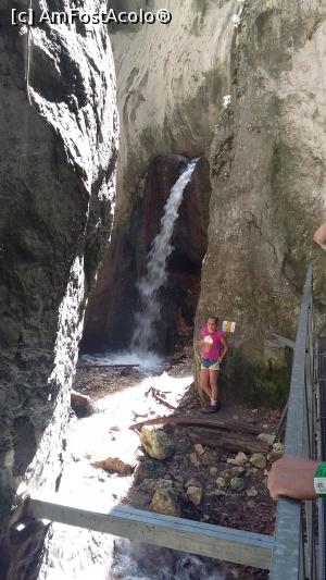 [P03] canionul 7 scari, inca o frumoasa cascada » foto by raducondurache
 - 
<span class="allrVoted glyphicon glyphicon-heart hidden" id="av778019"></span>
<a class="m-l-10 hidden" id="sv778019" onclick="voting_Foto_DelVot(,778019,5531)" role="button">șterge vot <span class="glyphicon glyphicon-remove"></span></a>
<a id="v9778019" class=" c-red"  onclick="voting_Foto_SetVot(778019)" role="button"><span class="glyphicon glyphicon-heart-empty"></span> <b>LIKE</b> = Votează poza</a> <img class="hidden"  id="f778019W9" src="/imagini/loader.gif" border="0" /><span class="AjErrMes hidden" id="e778019ErM"></span>