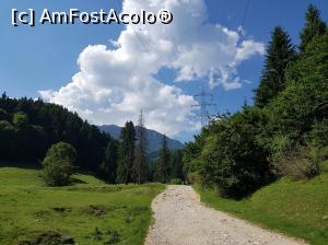 [P03] Prima porțiune a traseului urmărește drumul forestier care traversează poiana.  » foto by Floryn81
 - 
<span class="allrVoted glyphicon glyphicon-heart hidden" id="av1080521"></span>
<a class="m-l-10 hidden" id="sv1080521" onclick="voting_Foto_DelVot(,1080521,5531)" role="button">șterge vot <span class="glyphicon glyphicon-remove"></span></a>
<a id="v91080521" class=" c-red"  onclick="voting_Foto_SetVot(1080521)" role="button"><span class="glyphicon glyphicon-heart-empty"></span> <b>LIKE</b> = Votează poza</a> <img class="hidden"  id="f1080521W9" src="/imagini/loader.gif" border="0" /><span class="AjErrMes hidden" id="e1080521ErM"></span>