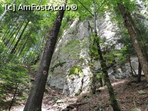 [P30] Urcușul spre cel mai înalt punct al traseului parcurs de către noi.  » foto by Floryn81
 - 
<span class="allrVoted glyphicon glyphicon-heart hidden" id="av1080566"></span>
<a class="m-l-10 hidden" id="sv1080566" onclick="voting_Foto_DelVot(,1080566,5531)" role="button">șterge vot <span class="glyphicon glyphicon-remove"></span></a>
<a id="v91080566" class=" c-red"  onclick="voting_Foto_SetVot(1080566)" role="button"><span class="glyphicon glyphicon-heart-empty"></span> <b>LIKE</b> = Votează poza</a> <img class="hidden"  id="f1080566W9" src="/imagini/loader.gif" border="0" /><span class="AjErrMes hidden" id="e1080566ErM"></span>